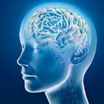 how therapy affects the brain