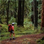 MSCA-walking-MH900401622