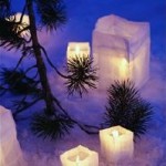 MSca-winter-grief-MH900402072