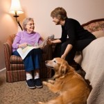 therapy-dogs-0527137