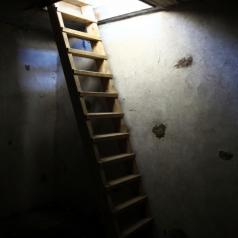 Ladder from dark room leading into light