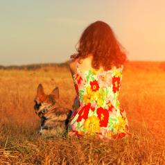 Person sits in meadow with dog at sunset