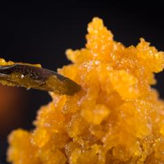 Macro detail of cannabis concentrate with dabbing tool