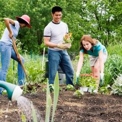 Group of teens working in a community garden
