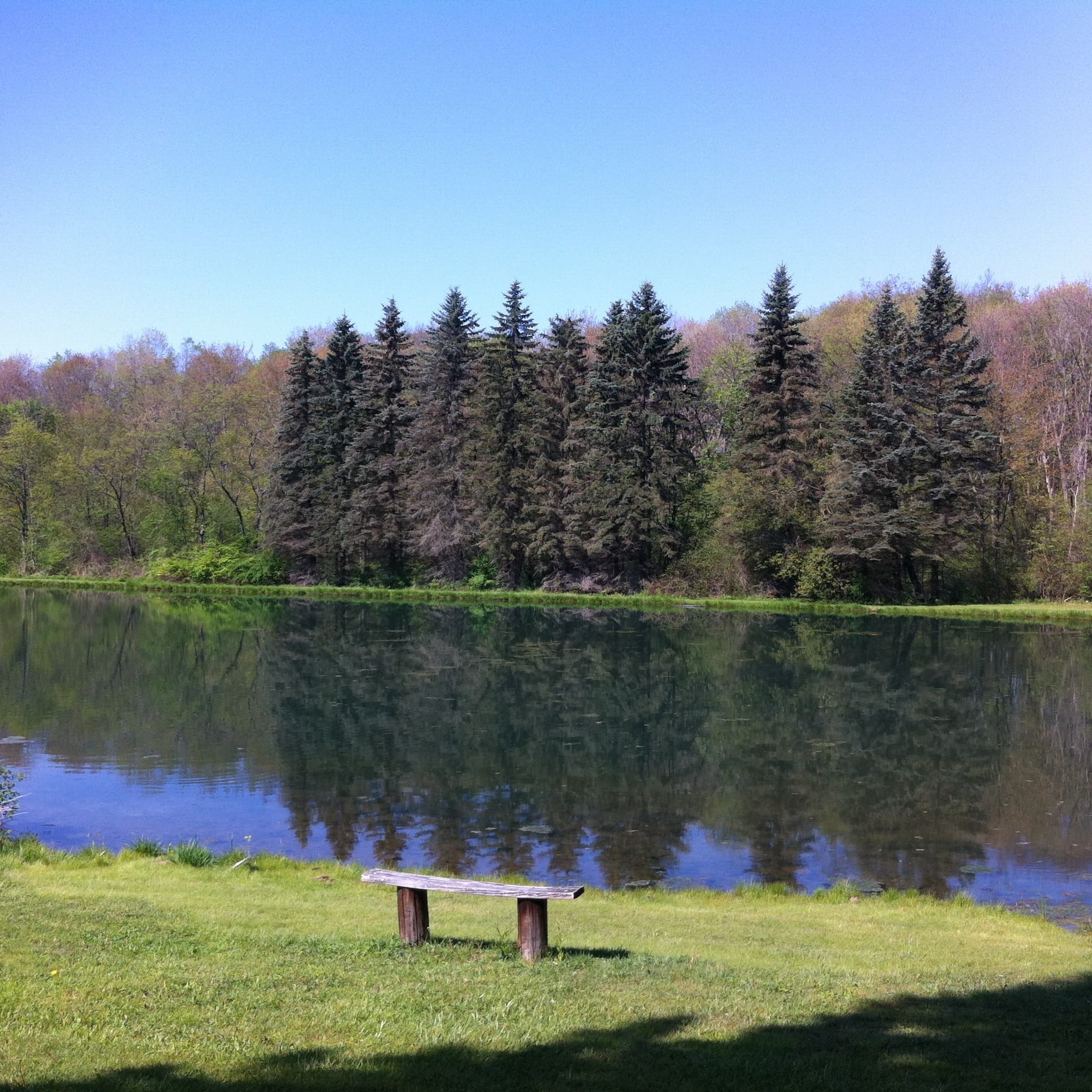 Twin Lakes Center