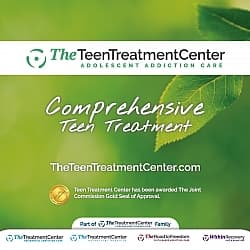 The Teen Treatment Center