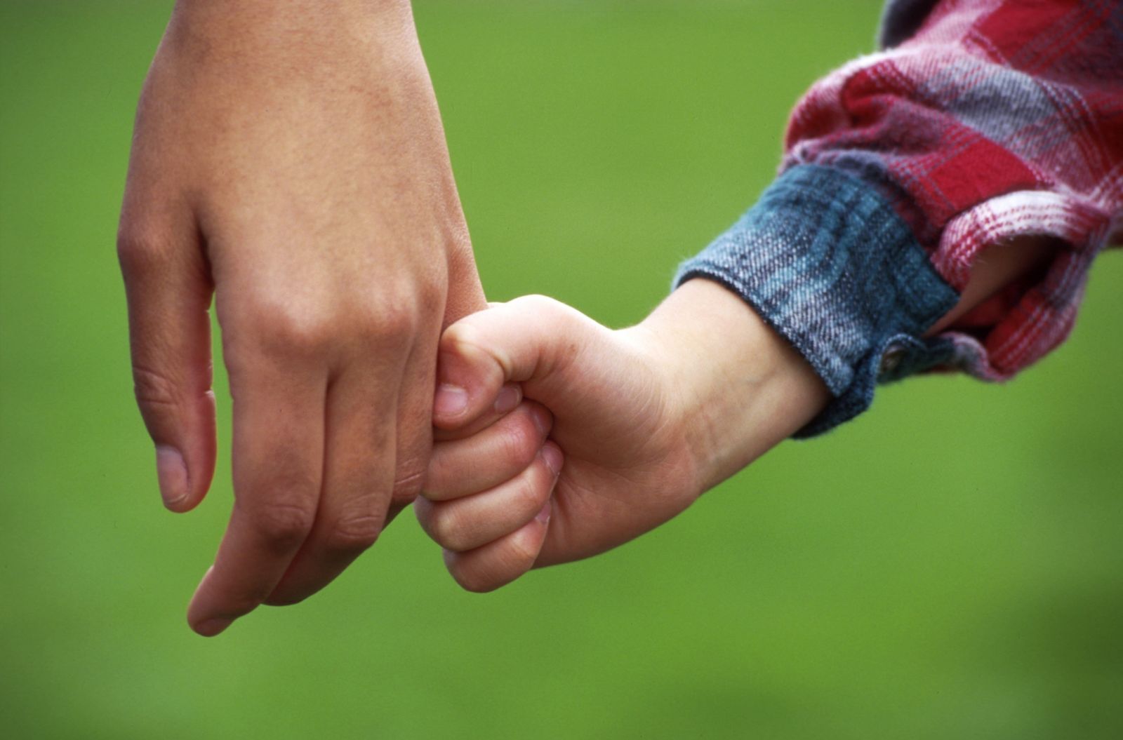 Child displaying attachement to an adult caregiver.