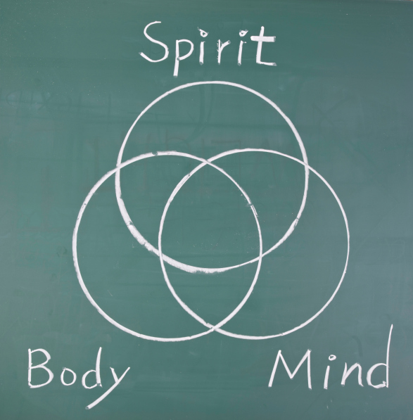 body mind psychotherapy venn diagram