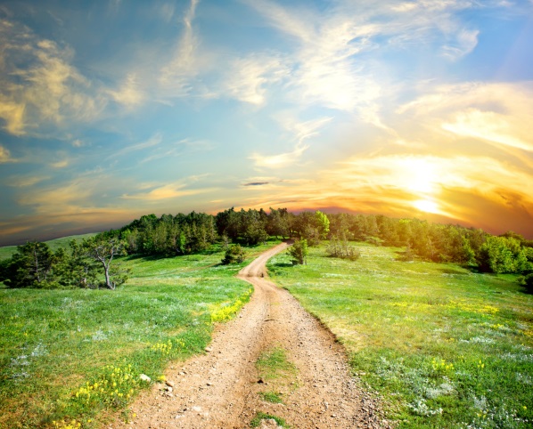 Tree-lined mountain path under blue sky