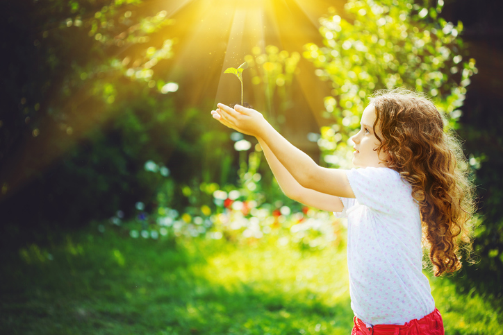 Young child of about eight with long curly brown hair holds plant up under shaft of sunlight