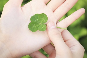 fourleaf-clover