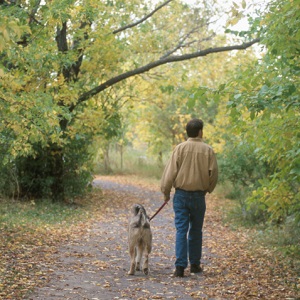 man walking dog in woods
