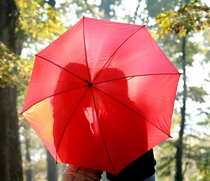 Couple kissing behind an umbrella