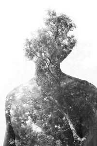 A man-shaped silhouette is made out of trees.