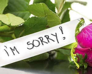 I'm sorry note