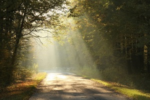 ايموجي مناظر طبيعية  Light-shining-on-road