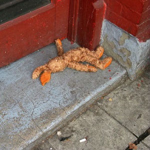 A lost stuffed animal, bunny sits outside one a bench.