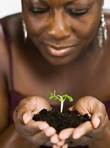 Middle-aged black woman wearing silver earrings. She is holding a seedling in soil in her cupped hands and looking at it tenderly.