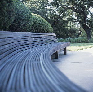 Curved cedar wood bench in garden