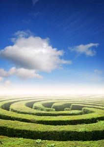 Spiral hedge maze