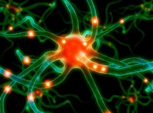 Illustration of a neuron