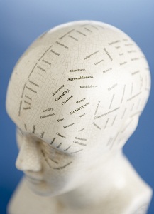 Head model with labels