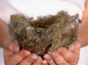 Empty nest