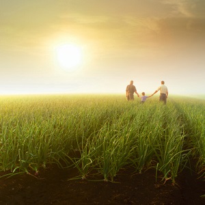 two-adults-and-child-walk-field-at-dusk