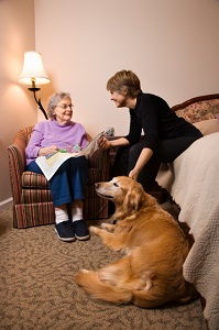 therapy-dogs-0527137