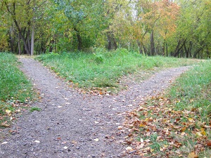 Two paths through woods