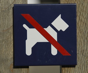 no-dogs-allowed-sign