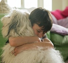 young-boy-hugging-dog-1011134