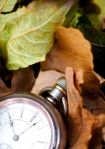 pocket watch resting in autumn leaves