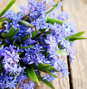 blue bouquet on table