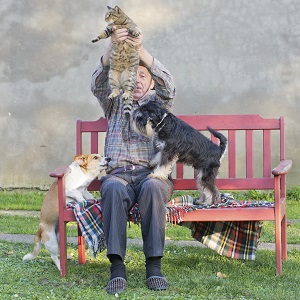 Man with cat and dogs