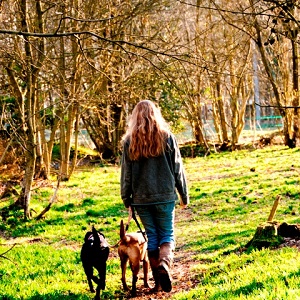woman with dogs walking in woods