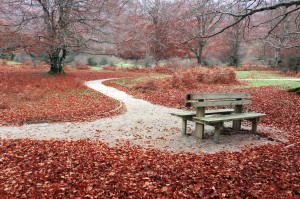 Park-in-the-fall