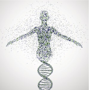 DNA helix representing the makeup of a human being