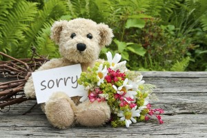 Teddy bear with flowers and a sorry note