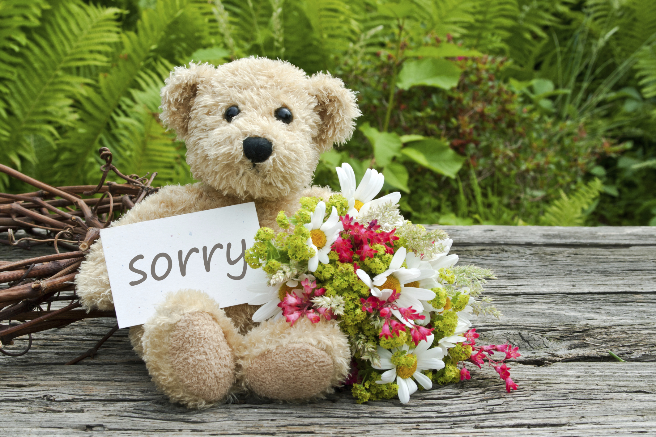 teddy bear saying sorry