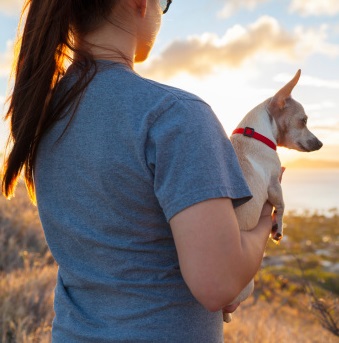Profile of a young woman with her dog at sunset