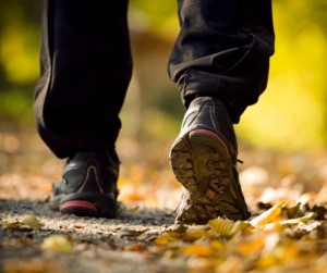Hiking in autumn forest