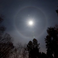 Moon through the trees