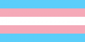 Transgender pride flag