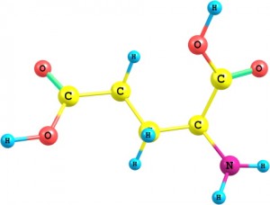 Glutamate