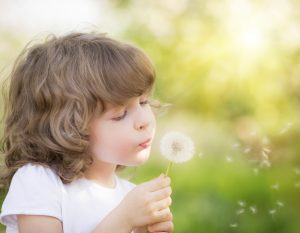 child blowing on dandelion