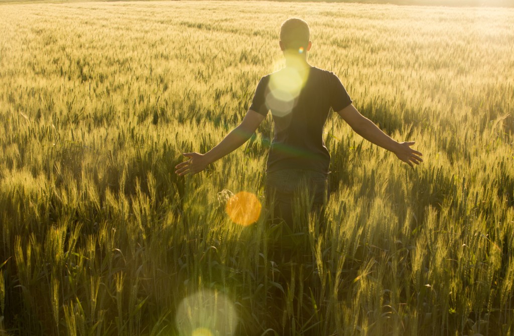 Young Man in Wheat Field