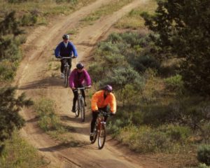 Group of three ride mountain bikes on dirt road