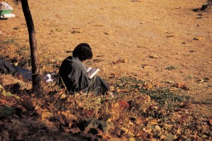 person sitting in fall leaves