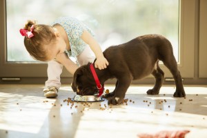 Little girl feeding her puppy